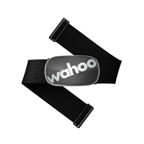 ご注文から2～3営業日後に出荷】Wahoo ELEMNT ROAM/WFCC6B